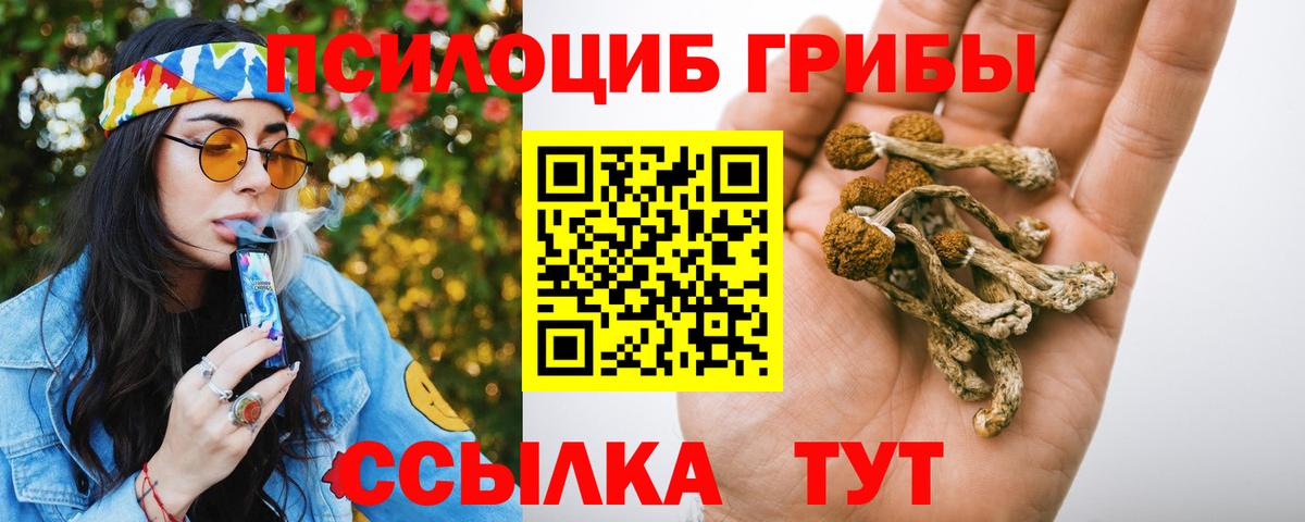 Ирбит  Галлюциногенные грибы прущие грибы  Вход с VPN 
